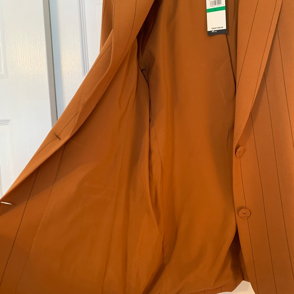 Danielle Bernstein Pinstripe Boyfriend Blazer - Picture 6 of 7